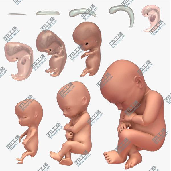 images/goods_img/20210312/Developing Fetus/1.jpg